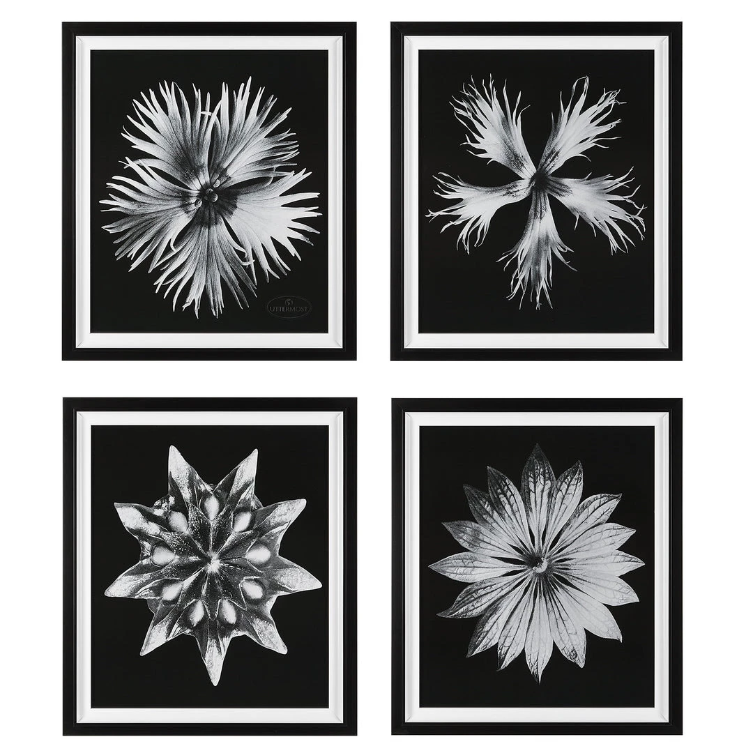 Uttermost Contemporary Floret Framed Prints, S/4 3 Uttermost Contemporary Floret Framed Prints, S/4