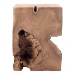 Moe's Home Collection Natural Teak Wood End Table