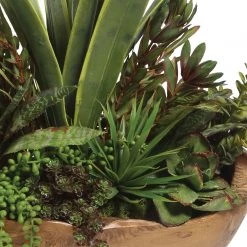 Accessories Uttermost Salar Succulents In Teak Bowl