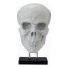 Moe's Home Collection Braincase Skull Statue White Table Decor