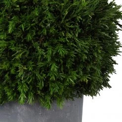 Accessories Uttermost Cypress Globes, S/2