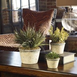 Uttermost La Costa Greenery, Set/3