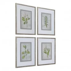Uttermost Stem Study Framed Prints Set/4