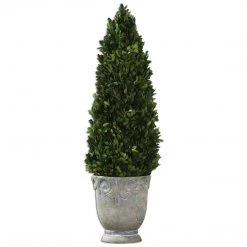Uttermost Boxwood Cone Topiary Accessories
