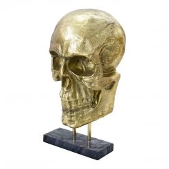 Moe's Home Collection Braincase Skull Statue Gold