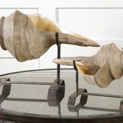 Uttermost Conch Shell Sculpture, Set/2 Table Decor