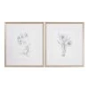 Accessories Uttermost Botanical Sketches Framed Prints S/2
