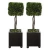 Uttermost Preserved Boxwood Square Topiaries, S/2 Accessories 2 Uttermost Preserved Boxwood Square Topiaries, S/2 Accessories