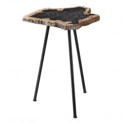 Tables Uttermost Mircea Petrified Wood Accent Table