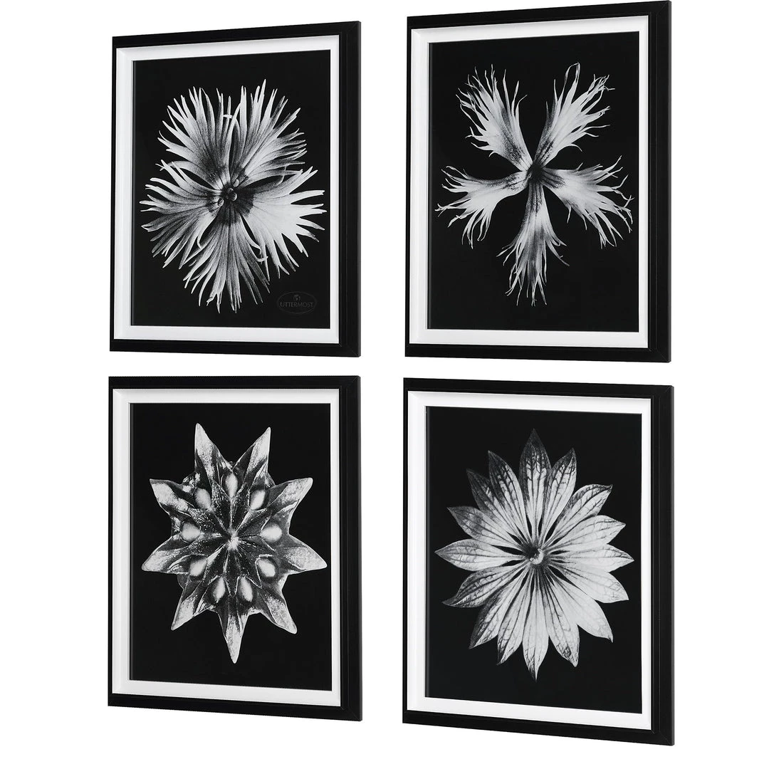 Uttermost Contemporary Floret Framed Prints, S/4 4 Uttermost Contemporary Floret Framed Prints, S/4