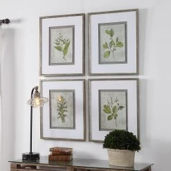 Uttermost Stem Study Framed Prints Set/4 12 Uttermost Stem Study Framed Prints Set/4