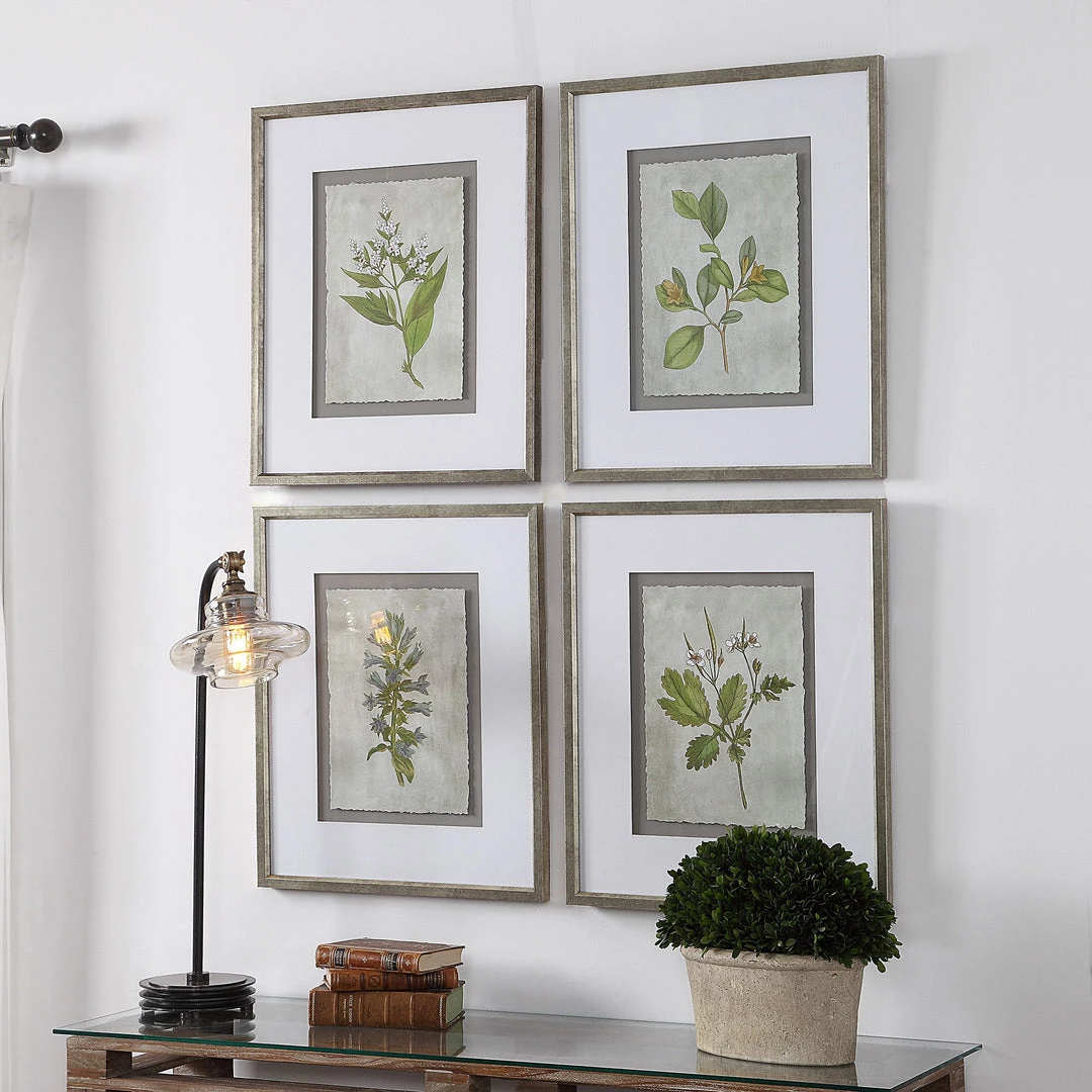 Uttermost Stem Study Framed Prints Set/4 6 Uttermost Stem Study Framed Prints Set/4