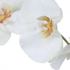 Uttermost Eponine White Orchid