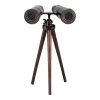 Moe's Home Collection Binoculars Bronze