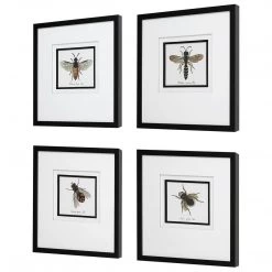 Accessories Uttermost Anthophila Framed Prints, S/4