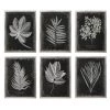 Uttermost Foliage Framed Prints, S/6 Accessories 2 Uttermost Foliage Framed Prints, S/6 Accessories