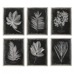 Uttermost Foliage Framed Prints, S/6 Accessories