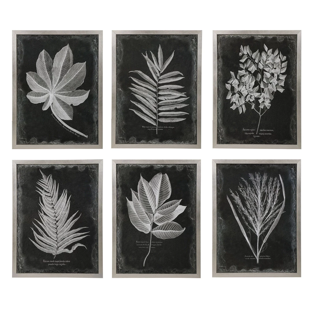 Uttermost Foliage Framed Prints, S/6 Accessories 3 Uttermost Foliage Framed Prints, S/6 Accessories