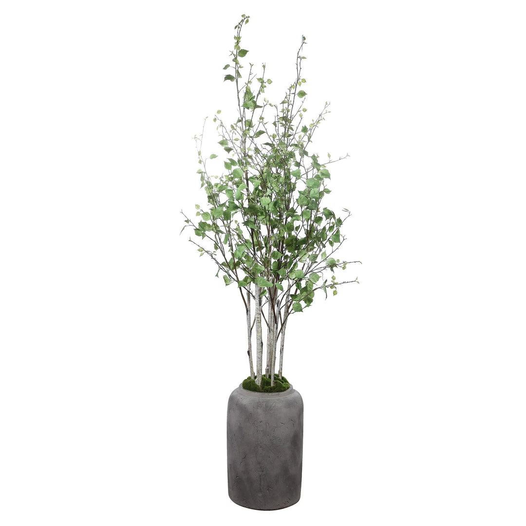 Uttermost Aldis Potted River Birch 3 Uttermost Aldis Potted River Birch