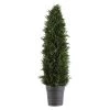 Uttermost Cypress Cone Topiary Accessories
