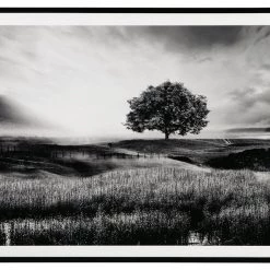 Ashley Furniture Deborland - Black/white - Wall Art Accessories