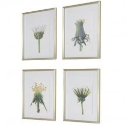 Uttermost Wildflowers Gold Framed Prints, S/4 Accessories