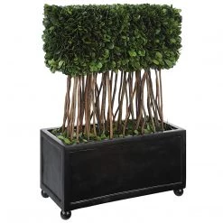 Accessories Uttermost Preserved Boxwood Rectangular Topiary