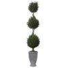 Uttermost Cypress Triple Topiary Accessories 1 Uttermost Cypress Triple Topiary Accessories