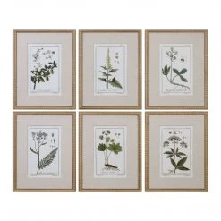 Accessories Uttermost Green Floral Botanical Study Prints S/6