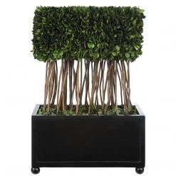 Accessories Uttermost Preserved Boxwood Rectangular Topiary