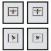 Accessories Uttermost Anthophila Framed Prints, S/4