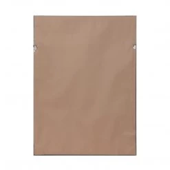 Uttermost Silver Ferns Framed Prints Set/2