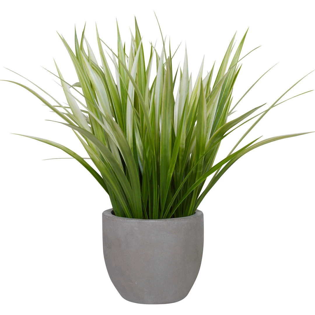 Accessories Uttermost Dracaena Grass In Gray Planter 3 Accessories Uttermost Dracaena Grass In Gray Planter