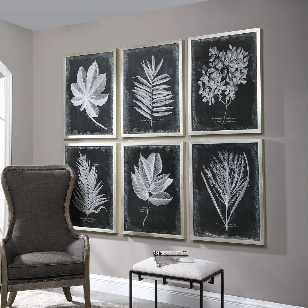 Uttermost Foliage Framed Prints, S/6 Accessories 7 Uttermost Foliage Framed Prints, S/6 Accessories