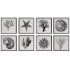 Uttermost Sea Living Framed Prints, S/8