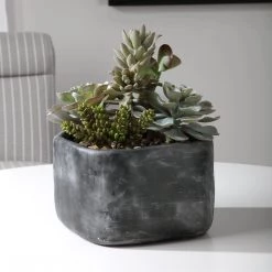 Uttermost Alverio Desert Garden Succulents Accessories