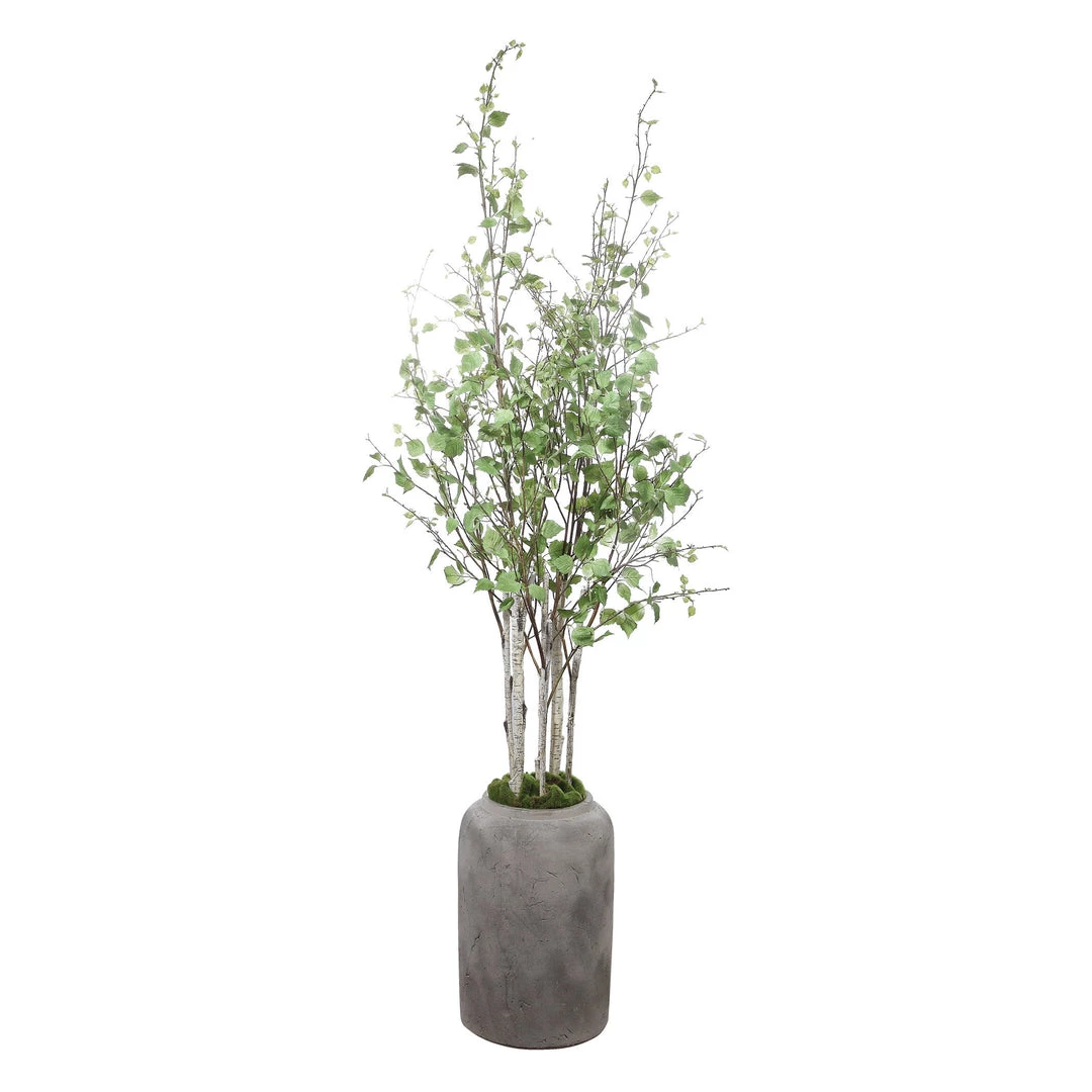 Uttermost Aldis Potted River Birch 5 Uttermost Aldis Potted River Birch