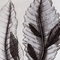 Uttermost Sea Living Framed Prints, S/8 11 Uttermost Sea Living Framed Prints, S/8