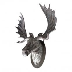 Moe's Home Collection Accessories Moosehead Wall Décor
