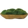 Uttermost Kinsale Moss Centerpiece Accessories