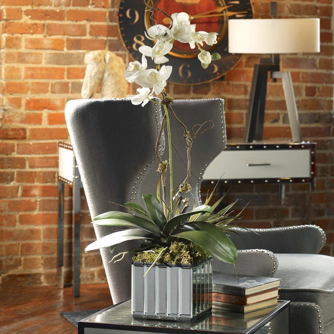 Uttermost White Kaleama Orchids 4 Uttermost White Kaleama Orchids