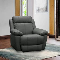 Perfect Home Perfect Promotions! Cozy Power Recliner