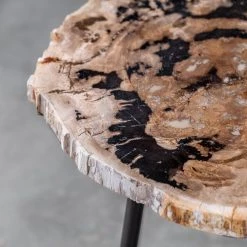 Tables Uttermost Mircea Petrified Wood Accent Table