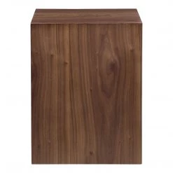 Moe's Home Collection Zio Sidetable Walnut Tables
