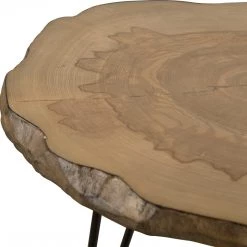Uttermost Runay Wood Slab Side Table Tables