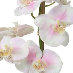 Accessories Uttermost Blush Pink And White Orchid
