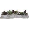 Uttermost Charita Lush Succulents Accessories