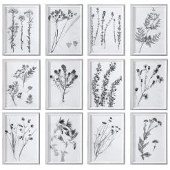 Uttermost Contemporary Botanicals Framed Prints, S/12
