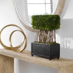 Accessories Uttermost Preserved Boxwood Rectangular Topiary