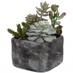Uttermost Alverio Desert Garden Succulents Accessories